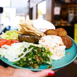 Vegetarian friendly Felafel Plate. 